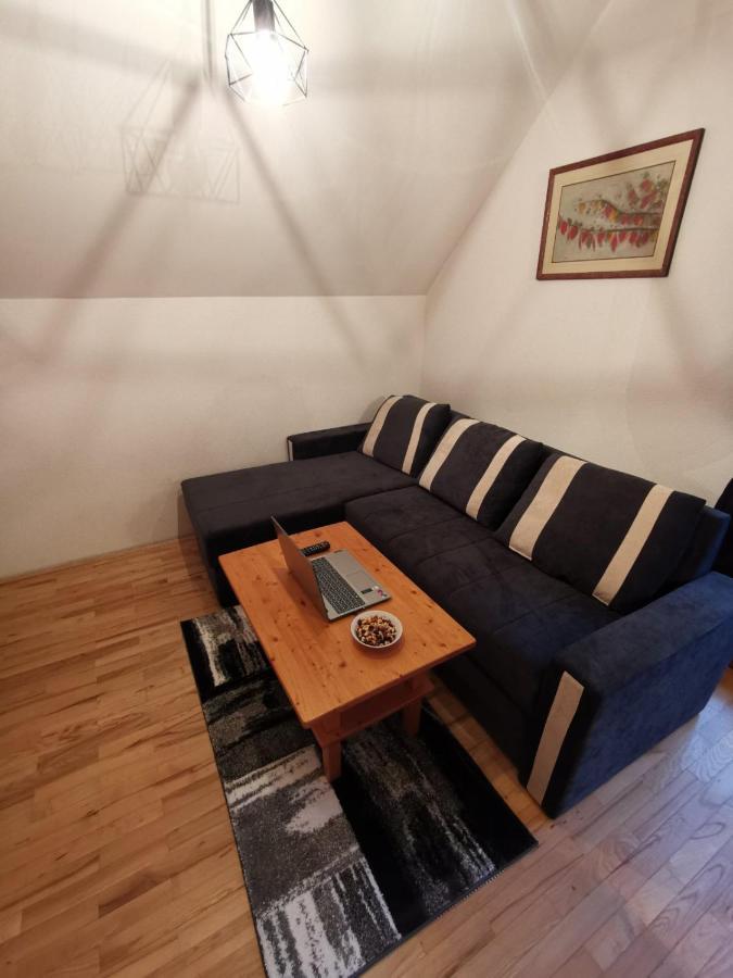 Apartma Pohorje Bolfenk 5010 ホコ・ポホリェ エクステリア 写真